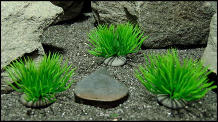 Artificial Moss Grass on Pebbles - Set of 3 - Jumping Spider 3