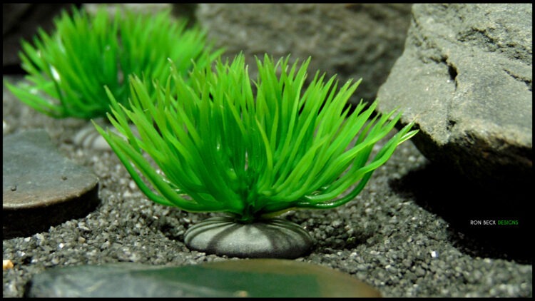 Artificial Moss Grass on Pebbles - Set of 3 - Jumping Spider 4