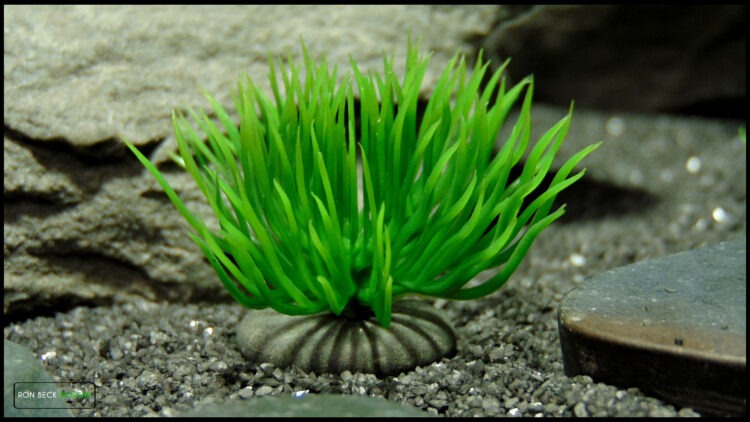 Artificial Moss Grass on Pebbles - Set of 3 - Jumping Spider 6