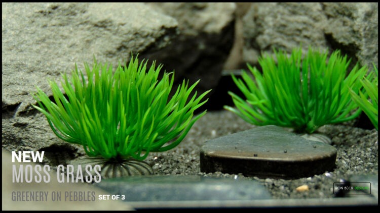 Artificial Moss Grass on Pebbles - Set of 3 - Jumping Spider T