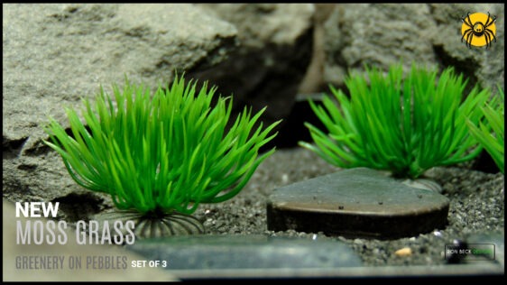 Artificial Moss Grass on Pebbles - Set of 3 - Jumping Spider tT