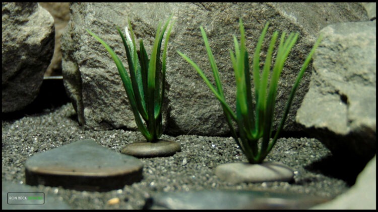 Atlantis grass with pebbles-set 3-jumping spider reptile decor-js603 2nd