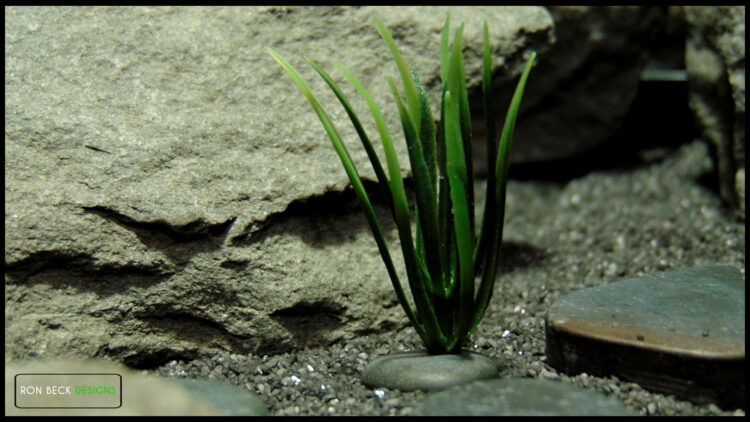 Atlantis grass with pebbles-set 3-jumping spider reptile decor-js603 sngl
