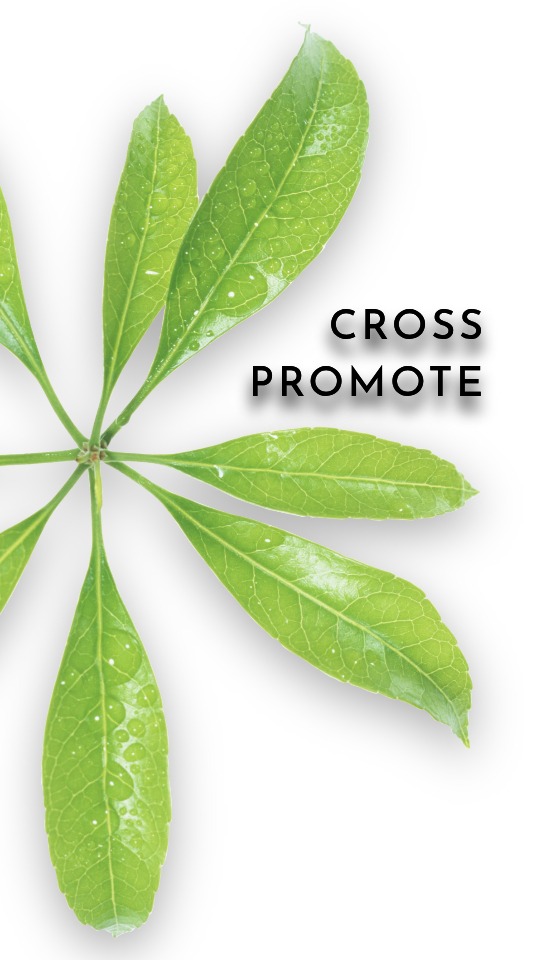 Cross Promote artificial plants ron beck designs