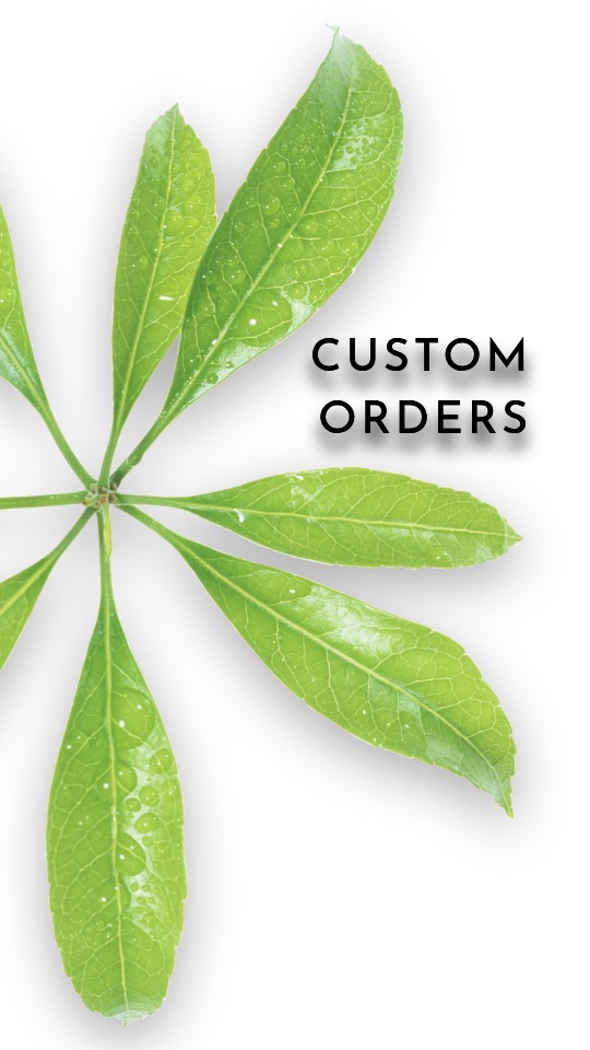 Custom Orders - artificial plants - ron beck designs.