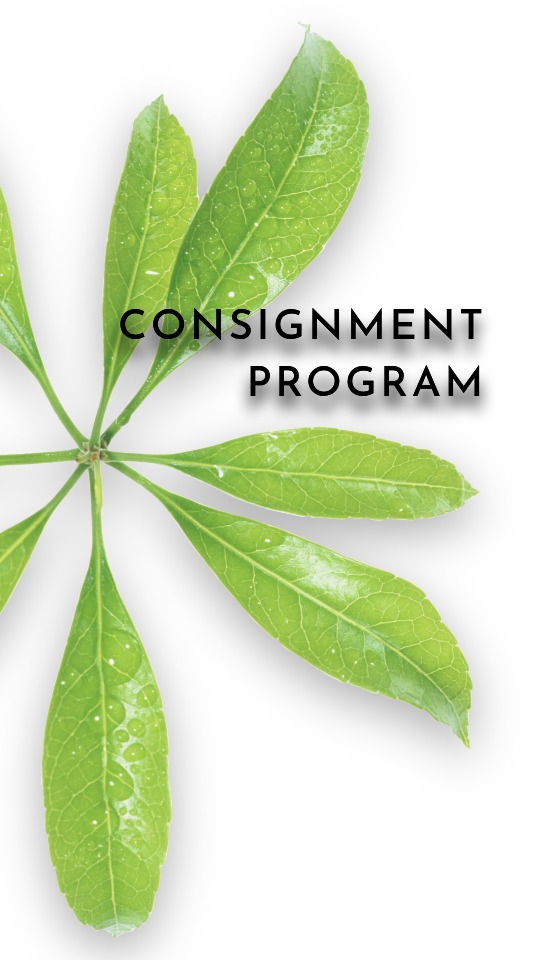 Email subscrConsignment Program artificial plants ron beck designs