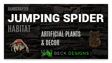 Jumping Spider Decor Ron Beck Designs