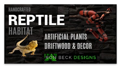 Reptile Decor Plants Ron Beck Designs