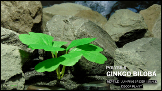 Artificial Ginkgo Biloba Plant Polysilk 601