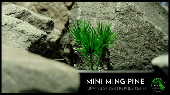 Artificial Mini Ming Pine Plant - Jumping Spider Reptile Decor 619 T