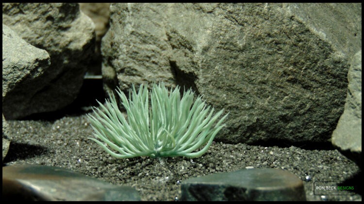 Artificial Soft Moss Bush (silver gray) js618 2