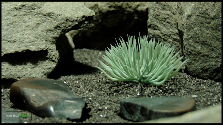 Artificial Soft Moss Bush (silver gray) js618 3