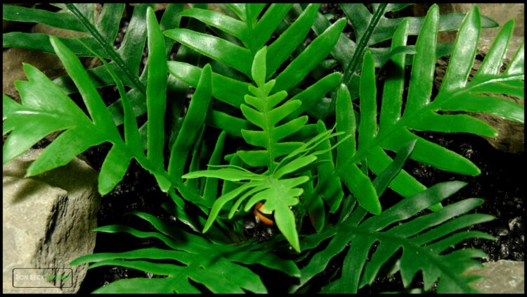 Artificial Whitley Giant Fern Reptile Snake Enclosure PRP620 3