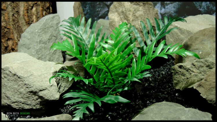 Artificial Whitley Giant Fern Reptile Snake Enclosure PRP620 4