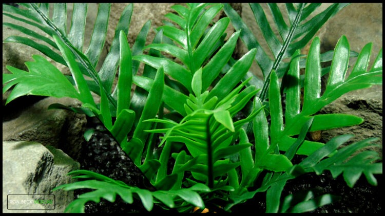 Artificial Whitley Giant Fern Reptile Snake Enclosure PRP620 5