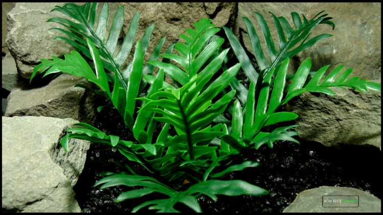 Artificial Whitley Giant Fern Reptile Snake Enclosure PRP620 6