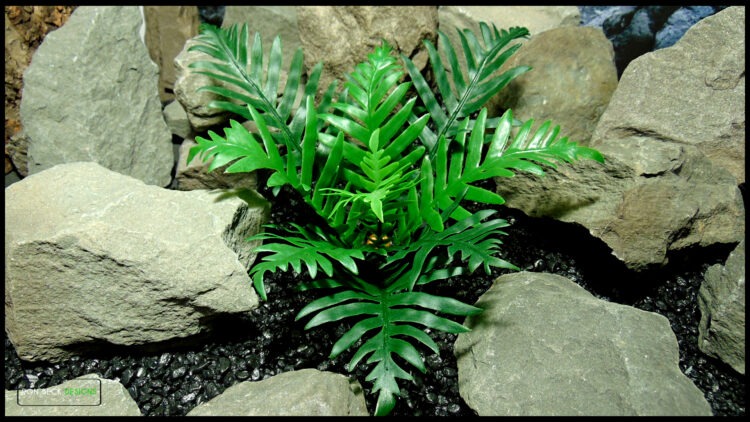 Artificial Whitley Giant Fern Reptile Snake Enclosure PRP620 TOP