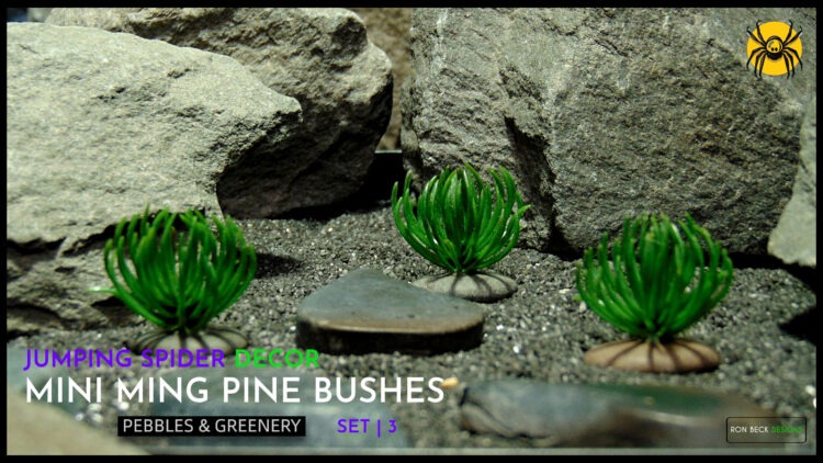Mini Ming Pine Bushes artificial plants on pebbles js611 jumping spider decor