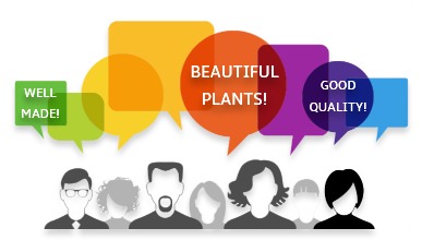 Customer Feedback _ They say