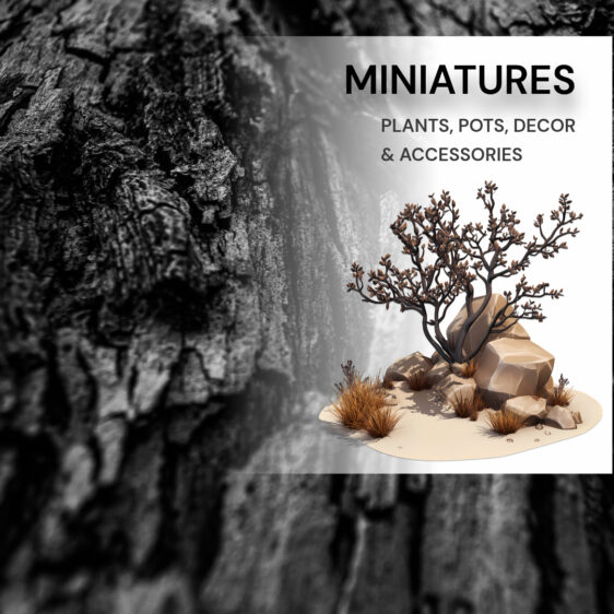 Miniatures