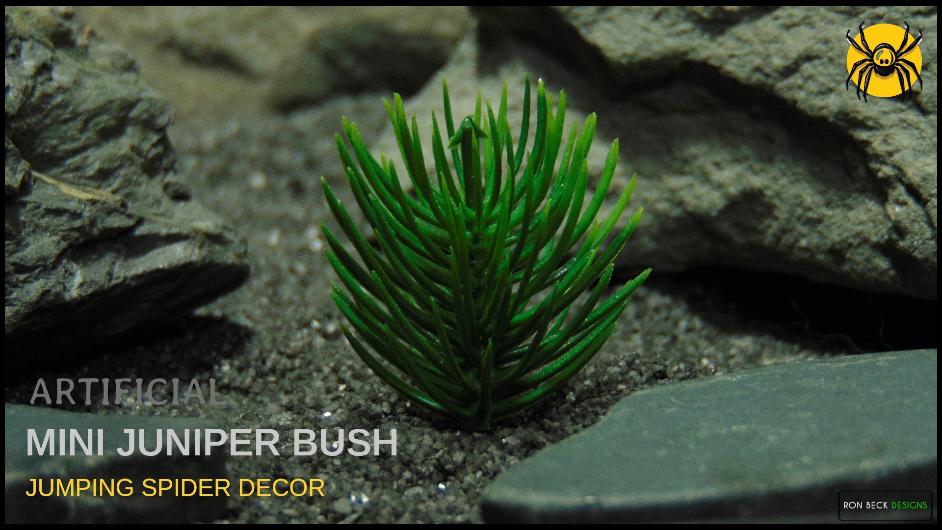 Jumping Spider Enclosure Decor | Artificial Mini Juniper Bush 1 Artificial Mini Juniper Bush - Jumping Spider Plant t prp630