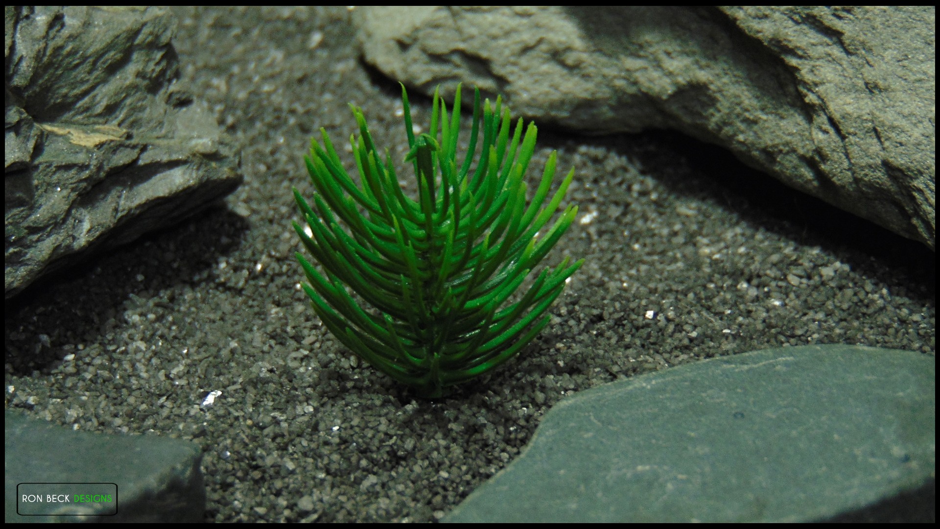 Jumping Spider Enclosure Decor | Artificial Mini Juniper Bush 3 Artificial Mini Juniper Bush - Plant ov pap630