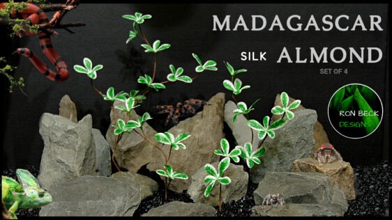 Artificial Silk Madagascar Almond Plant - Ron Beck Designs - ALL Set of 4