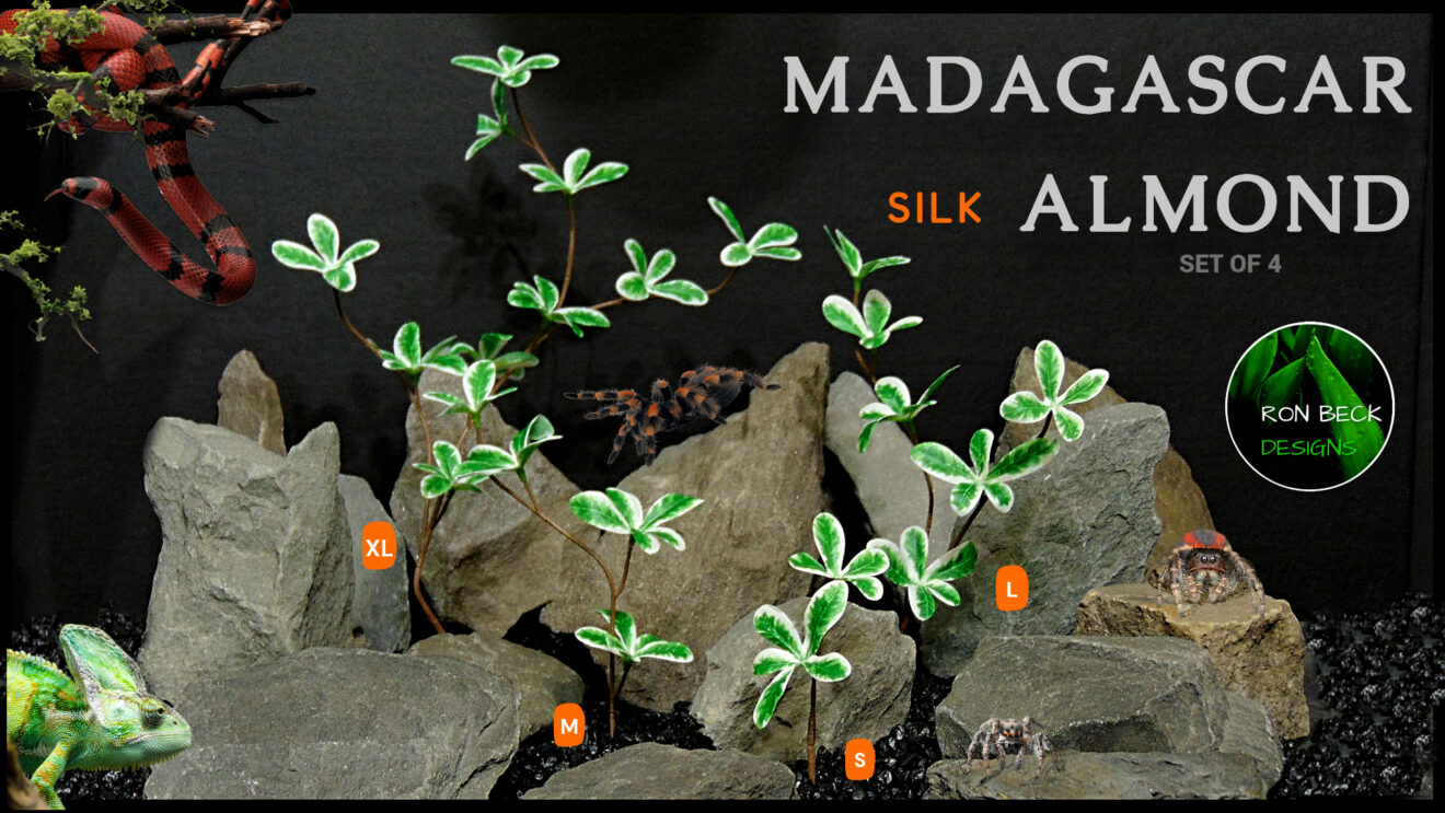 Artificial Silk Madagascar Almond Plant - Ron Beck Designs - Set of 4 sizes