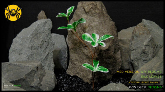 MED VER Artificial Silk Madagascar Almond Plant - Ron Beck Designs -cu3-fotor-2025111721357
