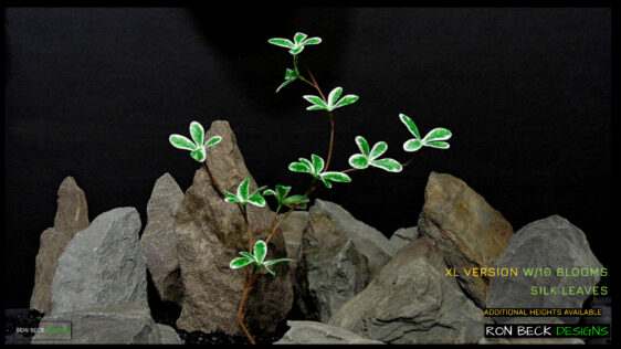 XLV Artificial Silk Madagascar Almond Plant - Ron Beck Designs -cu3-fotor-2025111543846