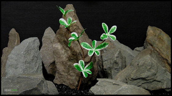 lg Artificial Silk Madagascar Almond Plant - Ron Beck Designs -fotor-2025111105214