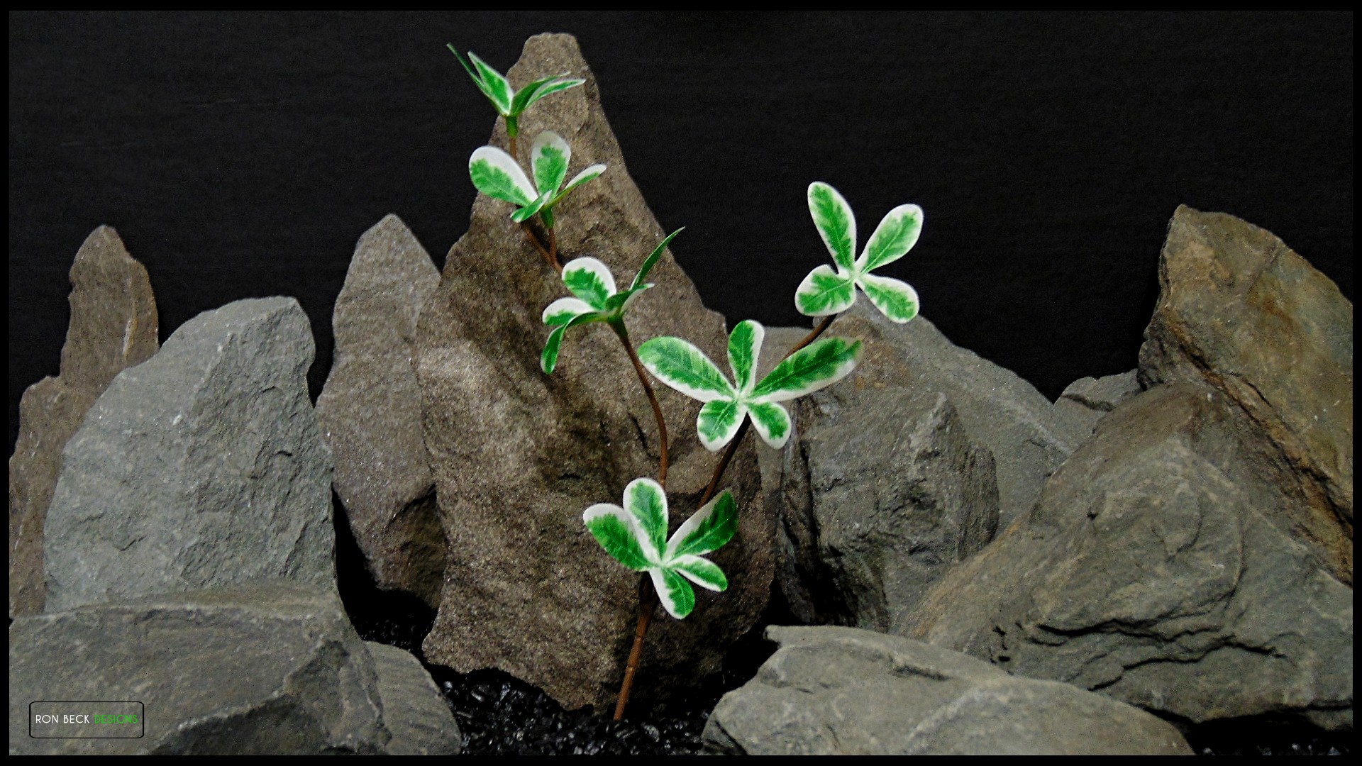 Artificial Madagascar Almond Plant Reptile Enclosure Decor | LG 4 lg Artificial Silk Madagascar Almond Plant - Ron Beck Designs -fotor-2025111105214