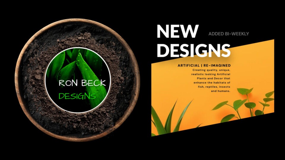 new designs biweekly HOME DECOR 1920 1080 - copy (2)