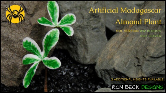 sml 3 TITLE Artificial Silk Madagascar Almond Plant - Ron Beck Designs -cu3-fotor-2025111541734