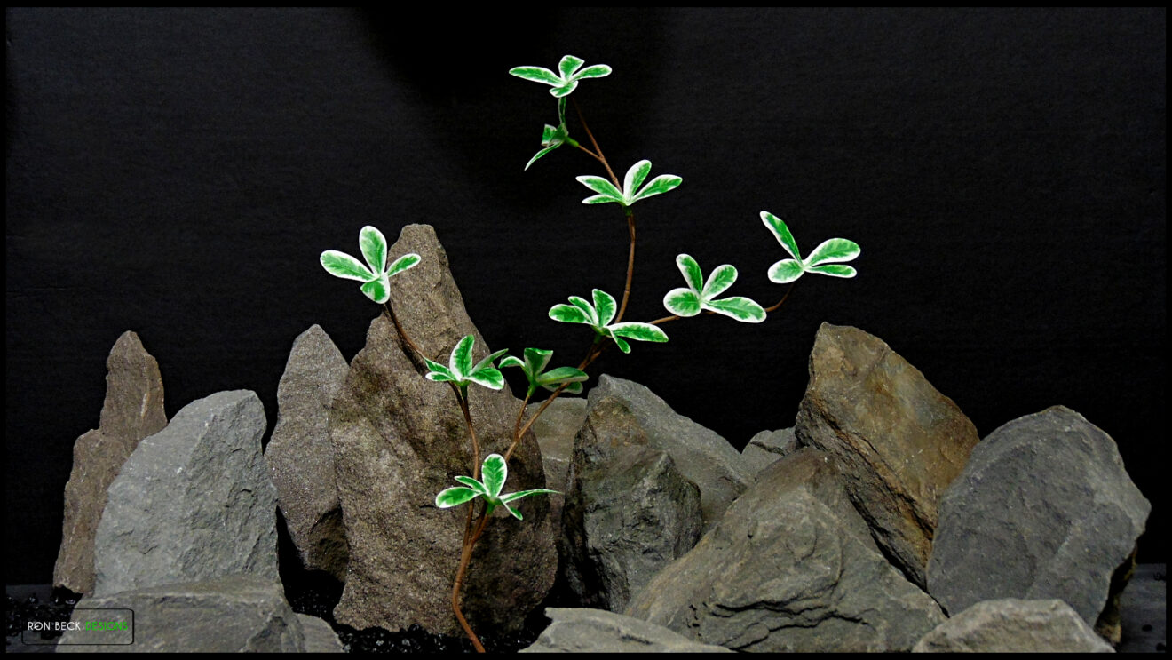 xl Artificial Madagascar Almond Plant Reptile Enclosure Decor | XL