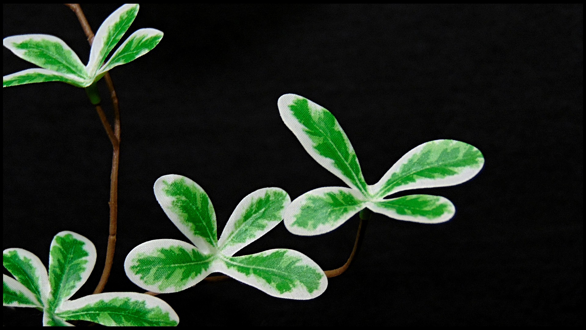 cu Artificial Madagascar Almond Plant - Ron Beck Designs cu Artificial Madagascar Almond Plant - Ron Beck Designs