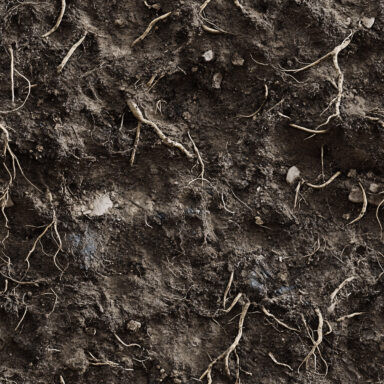 Roots and dirt backgrounds – Reptile Spider Snake Aquarium Nano Tank 1