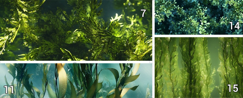 Aquarium Plant Backgrounds - 2.5 gallon nano tank betta fish