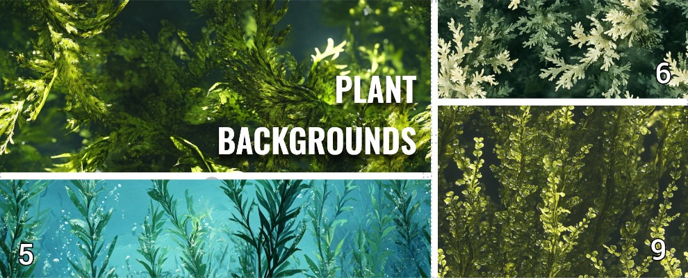 Aquarium Plant Backgrounds d - 2.5 gallon nano tank betta fish