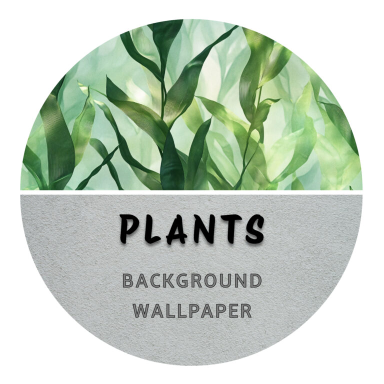 Aquarium Plant Backgrounds nano tank reptile spider betta fish