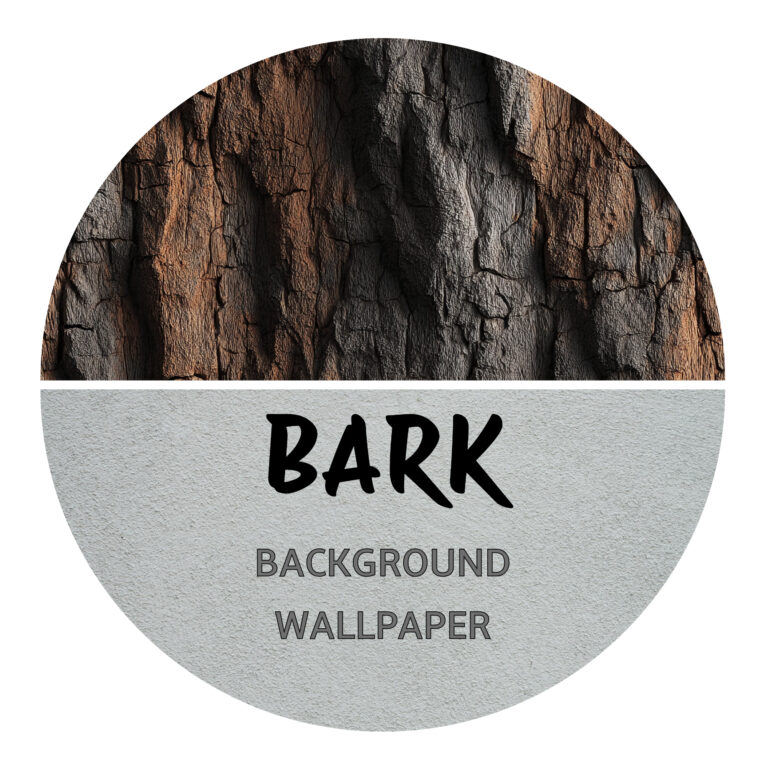 Bark Backgrounds nano tank reptile spider betta fish