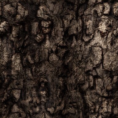 Bark Textures Seamless (6)