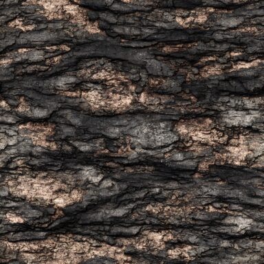 Bark Textures Seamless (8)