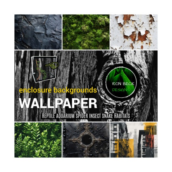 ENCLOSURE WALLPAPER BACKGROUND