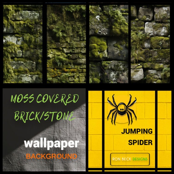 Moss covered brick wall—Jumping Spider enclosure wallpaper background Collage-fotor-20260120225313