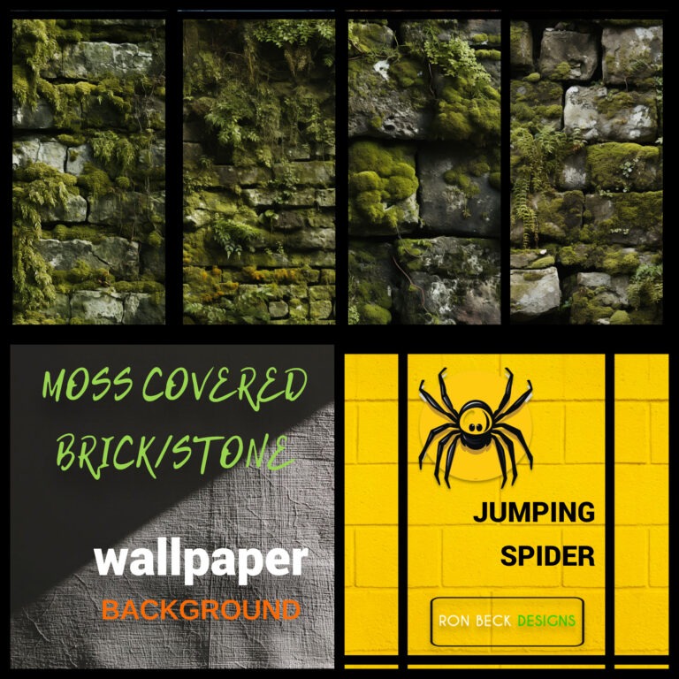 Moss covered brick wall—Jumping Spider enclosure wallpaper background Collage-fotor-20260120225313