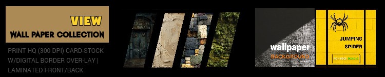 Enclosure Background Wallpaper Collection _ Jumping Spider _ Reptile _ Snake _ Aquarium