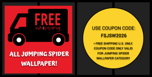 Free Shipping mini Jumping Spider enclosure wallpaper background 6 Grids.jpg
