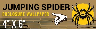 JUMPING SPIDER ENCLOSURE BACKGROUND WALLPAPER- 4X6 | Ron Beck Designs