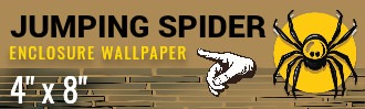 JUMPING SPIDER ENCLOSURE BACKGROUND WALLPAPER- 4X8 | Ron Beck Designs